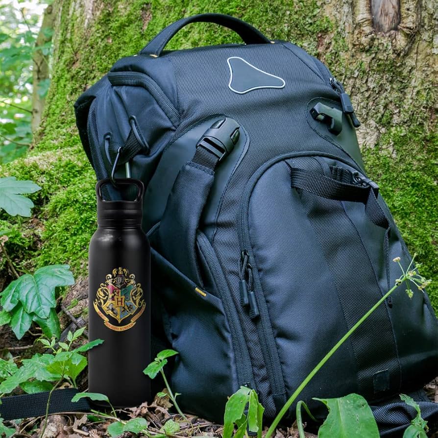 Amazon.com: Harry Potter OFFICIAL Hogwarts Crest 24 oz